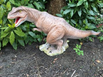 Dinosaurier, schöne Statue eines Tyrannosaurus